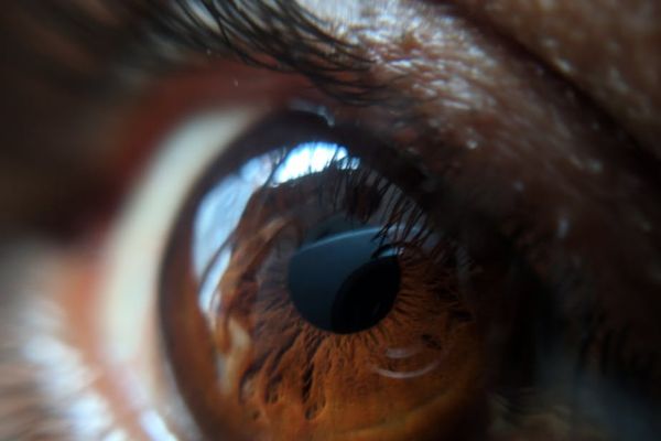 Close up of a person looking forward with calm and clear eyes